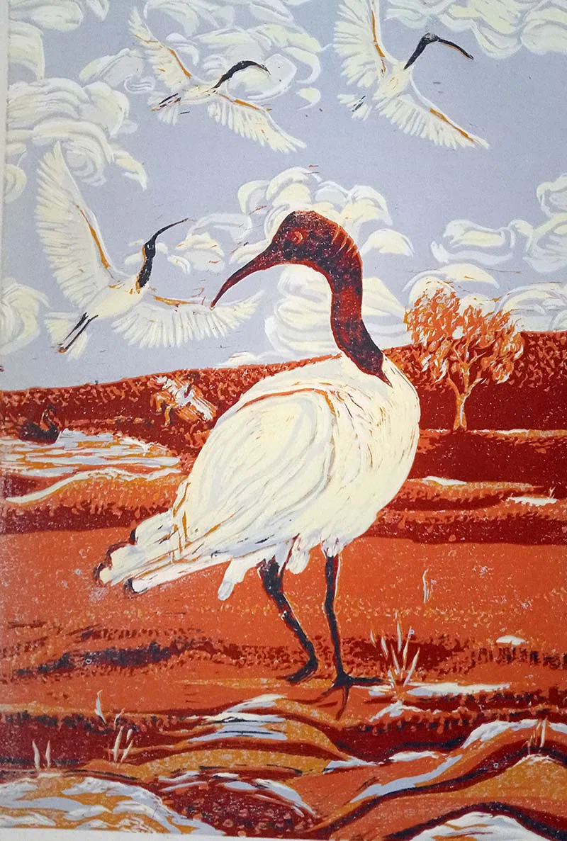 Painting of ibis birds in Australian landscape.