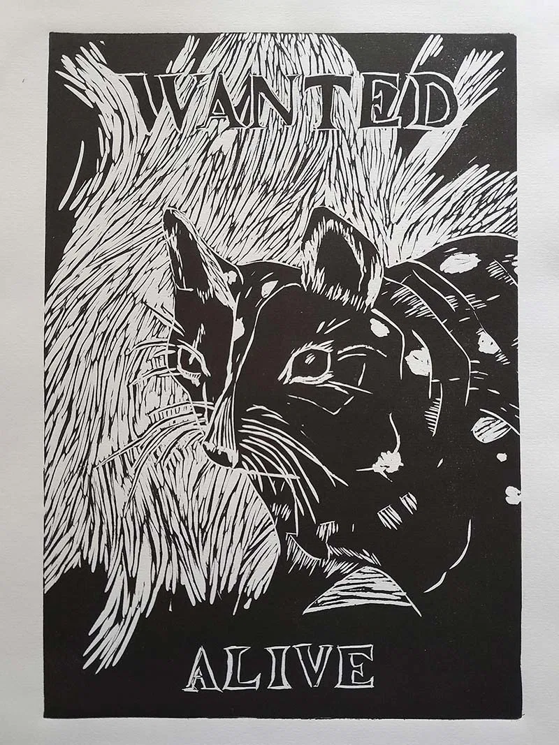 Art print: Chuditch portrait with 'wanted alive' text.