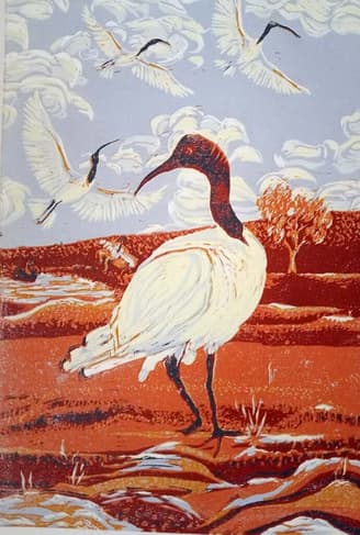 Sister Ibis