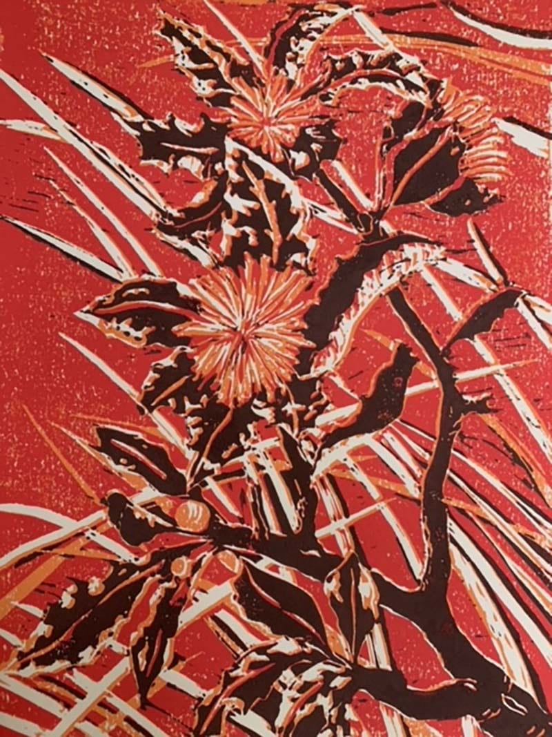Holly Hakea