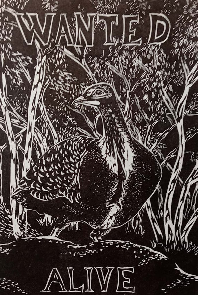 Mallee Fowl 2025