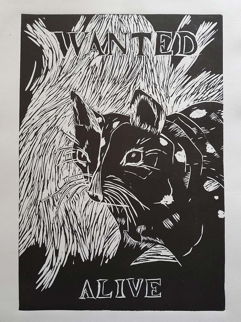 Wanted-Alive-Chuditch Art print: Chuditch portrait with 'wanted alive' text.