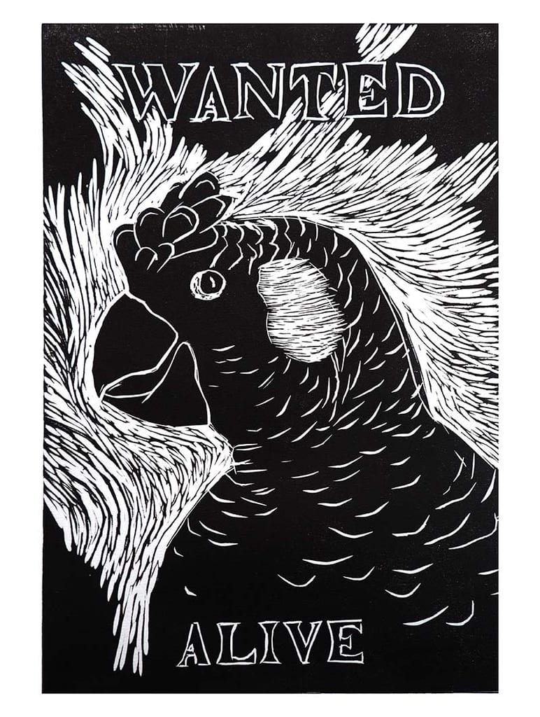 Wanted Alive Cocky
