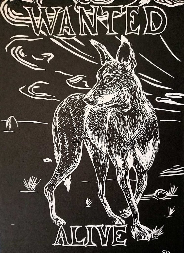Illustrated dingo under 'Wanted Alive' sign