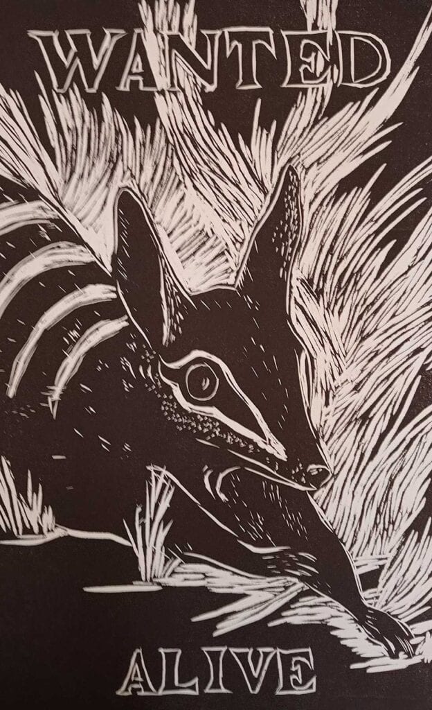 Numbat art with 'WANTED ALIVE' text.